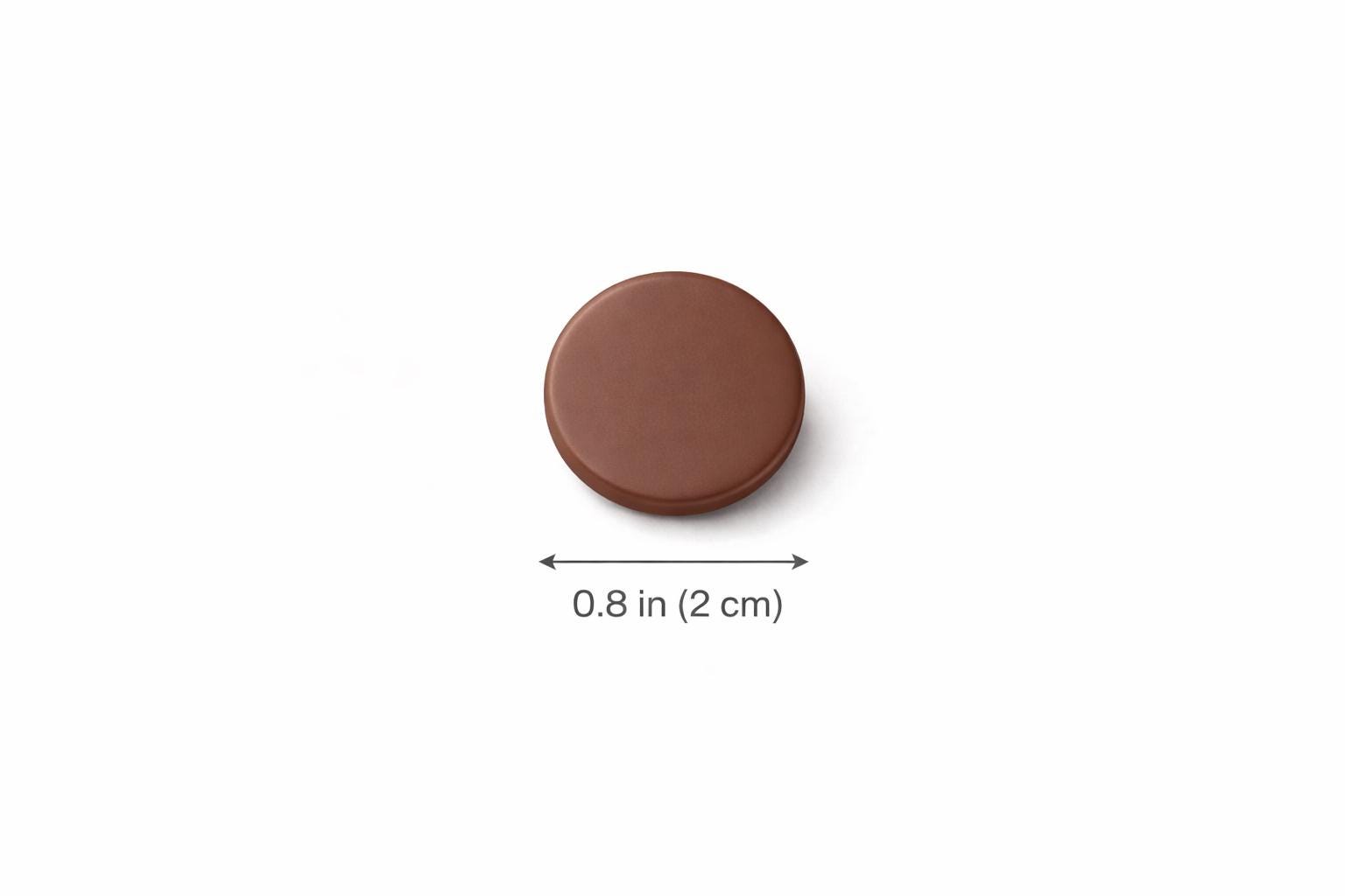 Set of 3 - Minimalist Round Stud Earrings, Neutral Polymer Clay, Hypoallergenic Stainless Steel Set