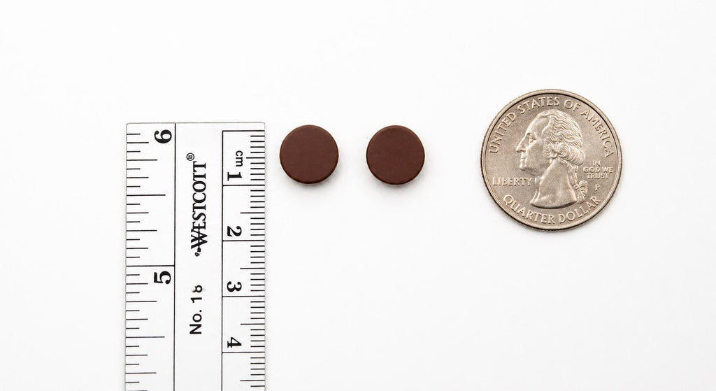 Polymer Clay Stud Earrings Set, Minimalist Matte Jewelry, Stainless Steel Posts